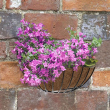 Load image into Gallery viewer, 16" inch 40cm Classic Wall Basket - Smart Garden -Metal Flower Basket With Coir Liner