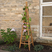 Load image into Gallery viewer, 1.9m Wooden Obelisk - Woodland Obelisk - Tan Brown, Sage Green or Slate Grey - Plant support