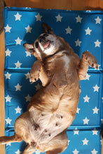 Load image into Gallery viewer, Pet Dog Cooling Mat 50 x 90 - Uber-Activ Gel Cooling Mat - Cool Gel Mat for pets - Zoon