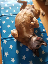 Load image into Gallery viewer, Pet Dog Cooling Mat 50 x 90 - Uber-Activ Gel Cooling Mat - Cool Gel Mat for pets - Zoon