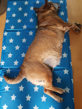 Load image into Gallery viewer, Pet Dog Cooling Mat 50 x 90 - Uber-Activ Gel Cooling Mat - Cool Gel Mat for pets - Zoon
