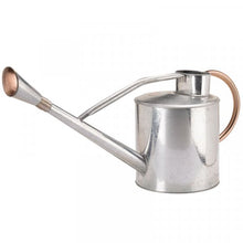 Load image into Gallery viewer, Smart Garden Long Reach Galvanised Steel Watering Can | 9 Litre | With Watering Rose