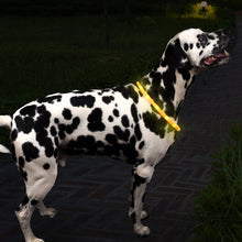 Load image into Gallery viewer, Glow in the dark, Flash & Go Rechargeable 'See-Dog' Ring - LED lights - Various sizes S/M or M/L