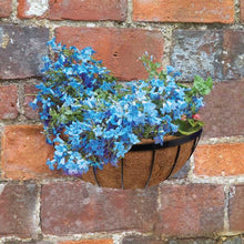Load image into Gallery viewer, 16" inch 40cm Wall Manger - Metal Flower Basket With Coir Liner