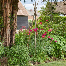 Load image into Gallery viewer, 90 x 2.4m Bamboo Canes – Natural Garden Plant Support (Bulk Pack)