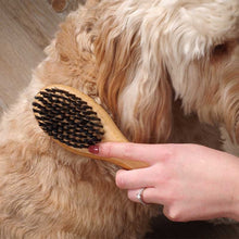 Load image into Gallery viewer, Double Sided Pet Grooming Brush | Natural Bamboo | Removes Tangles & Dead Hair | Cat Dog Rabbit