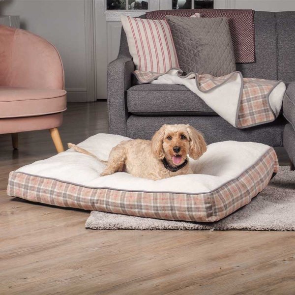 Zoon County Gusset Dog Mattress | 60x80x12cm | Super Soft Removable Cushion Pillow