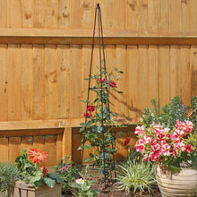 Load image into Gallery viewer, Easy Obelisk 1.2m Fold-Out Black Metal Obelisk – Plant Support