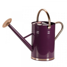 Load image into Gallery viewer, Watering Can 4.5L, Green, Blue, Ivory, Grey, Galvanised or Violet - Smart garden products