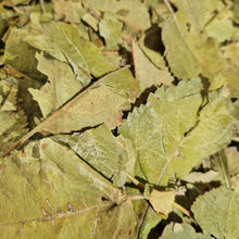 Load image into Gallery viewer, 100g Dried apple tree leaves for rabbits and guinea pigs