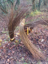 Load image into Gallery viewer, Willow leaning against a wire fence