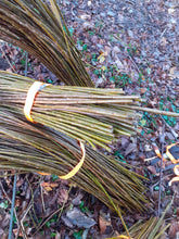 Load image into Gallery viewer, 5 x 120cm Living willow whips, rods - Fresh, cut to order - bean pea poles, rods, stakes, sticks, living structure or fencing. Fresh flexible