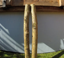 Load image into Gallery viewer, 2 x SPLIT POSTS 90cm (3ft) Hazel 50mm (2") x 25mm (1") diameter Hazel rustic country poles. - Natural Fresh cut