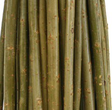 Load image into Gallery viewer, 5 x 120cm Living willow whips, rods - Fresh, cut to order - bean pea poles, rods, stakes, sticks, living structure or fencing. Fresh flexible