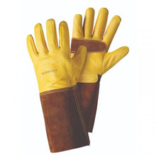 Load image into Gallery viewer, Briers Ultimate Golden Leather Gauntlet Large Size 9 - Professional Gardening Safety Gloves