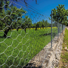 Load image into Gallery viewer, 0.5m x 0.5m Galvanised Chicken Wire | 13mm–50mm Mesh Options