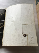 Load image into Gallery viewer, Alien: The Movie Novel Paperback – 1 Oct. 1979 by Richard J. Anobile (Editor)