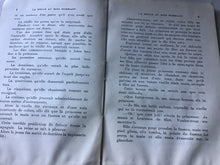 Load image into Gallery viewer, Les plus jolis Contes de Fées JULES LAZARE HACHETTE AND COMPANY -