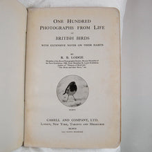 Load image into Gallery viewer, One Hundred Photographs from Life of British Birds with Extensive Notes on Their Habits by R. B. Lodge
