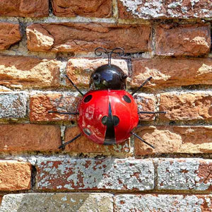 Décor Ladybird - Hangers On - Wall Hanging Feature Medium and Large Garden Decor.
