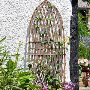 1.2m x 0.45m Minster Willow Trellis Gothic plant support.