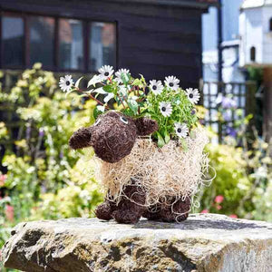 Shelley Sheep - 26 x 15 x 35 cm - Natural Rustic Planter -