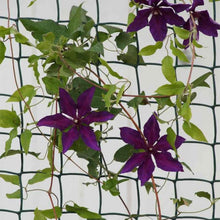 Load image into Gallery viewer, Smart Garden Plastic Fencing 15mm 20mm or 50mm mesh holes. Plant support fence, 1m or 0.5m tall Green or Brown.
