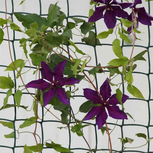 Smart Garden Plastic Fencing 15mm 20mm or 50mm mesh holes. Plant support fence, 1m or 0.5m tall Green or Brown.