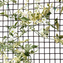 Load image into Gallery viewer, Garden Fencing Mesh Netting for Climbing Plants, Vegetables, Pets. Green, Brown. 0.5m or 1m tall various mesh gaps
