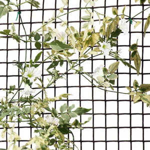 Smart Garden Plastic Fencing 15mm 20mm or 50mm mesh holes. Plant support fence, 1m or 0.5m tall Green or Brown.