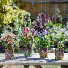 Load image into Gallery viewer, 4x Pixie Pots - Plant pots - FOUR PACK 10cm Diameter 12cm tall
