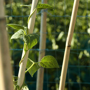 Bamboo U Hoops 3 pack various sizes available 60cm to 120cm