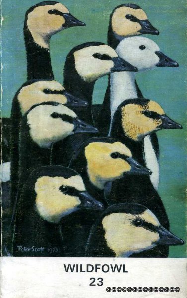 Wildfowl 23 [Paperback] Matthews, G.V.T. ; Ogilvi, M.A. (Editors)