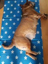 Load image into Gallery viewer, Dog Cooling Mat - Uber-Activ Gel Cooling Mat - 50 x 90cm - Cool Gel Mat for pets - Zoon
