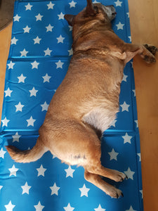 Dog Cooling Mat - Uber-Activ Gel Cooling Mat - 50 x 90cm - Cool Gel Mat for pets - Zoon