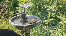 Load image into Gallery viewer, Frog Frolics!  - Frog Solar Powered Water Fountain - No Mains required - Water Feature
