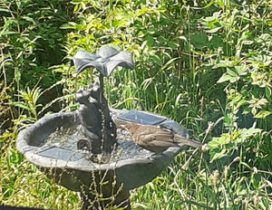 Frog Frolics!  - Frog Solar Powered Water Fountain - No Mains required - Water Feature