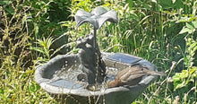 Load image into Gallery viewer, Frog Frolics!  - Frog Solar Powered Water Fountain - No Mains required - Water Feature
