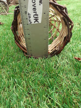 Load image into Gallery viewer, Willow mini 28cm obelisk cone ideal to support pot plants and ground fruits.
