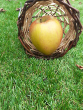 Load image into Gallery viewer, Willow mini 28cm obelisk cone ideal to support pot plants and ground fruits.
