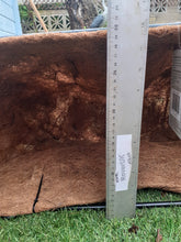 Load image into Gallery viewer, 24&quot; (60cm) Forge Wall Manger (Very Deep) coir Coco Liner Smart Garden
