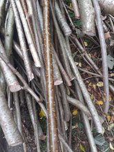 Load image into Gallery viewer, 12 x 120cm (4ft) Hazel 2.5cm (1&quot;) diameter bean pea poles, hurdle rods, stakes, sticks.  - Fresh cut
