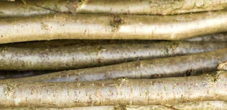 Hazel Sails - Pointed Hazel Hurdle Sails, posts, stakes 4cm Diameter sold Individually