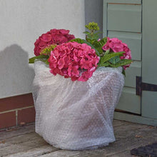 Load image into Gallery viewer, Garden &amp; Home Bubble Film - 0.75m x 10m - Easy to install translucent  insulation

