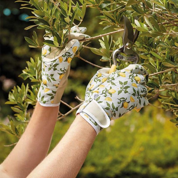 Sicilian Lemon Smart Gardeners Medium size 8 Leather thorn resistant gloves