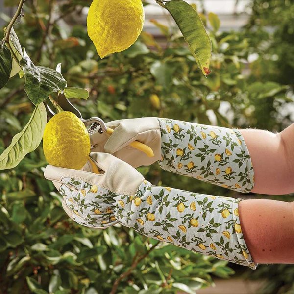 Sicilian Lemon Garden Gauntlet Medium Size 8 - Arm covering leather gloves.