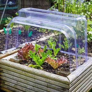 GroZone Clear Cloche & Bell Cloche - Standard & Jumbo
