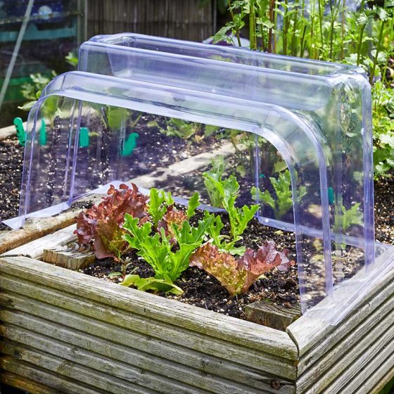 GroZone Clear Cloche ends 41 x 22 x 22cm