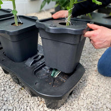 Load image into Gallery viewer, Smart Garden Capillary Matting - Plant Moisture Mat - Germination Tray Liner - 0.6m wide choose length - Green Hydrophile
