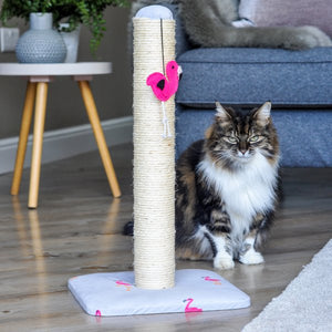 Cat scratching posts & pads - Various options Small to Extra Large - Zoon